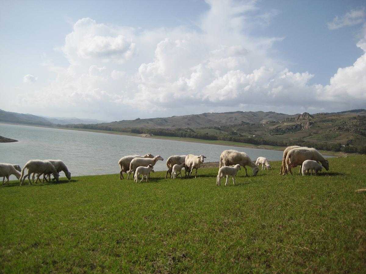 Oasi Del Lago Regalbuto Exteriör bild